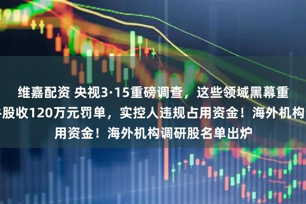 维嘉配资 央视3·15重磅调查，这些领域黑幕重重！七天六板牛股收120万元罚单，实控人违规占用资金！海外机构调研股名单出炉
